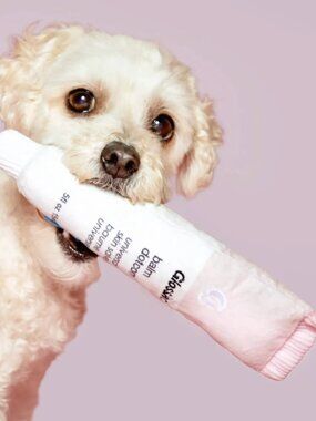 ISO Glossier X Bark Balm Dogcom & Toy Brow